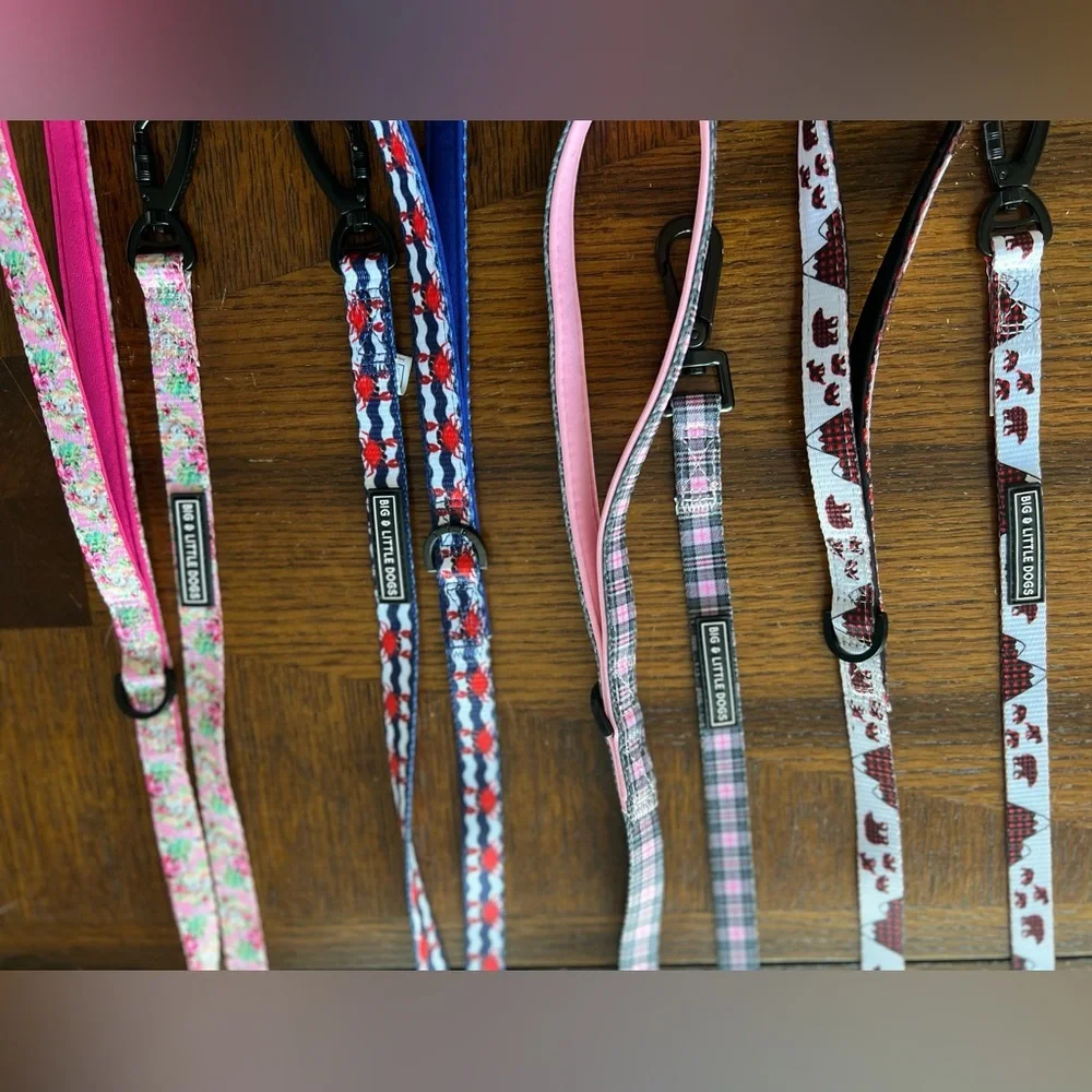 4 - Big & Little Dog Leash’s